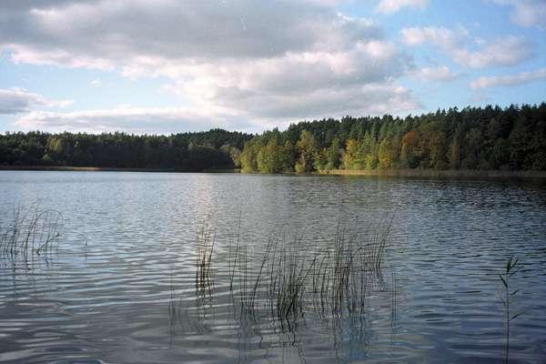 2007Schulzensee001Ak