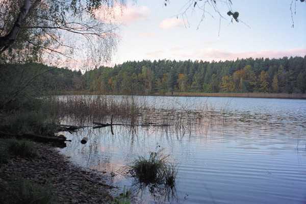 2007Schulzensee004Ak