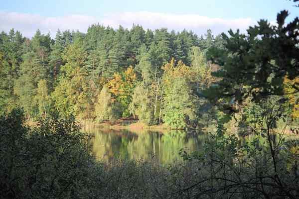 2007Schulzensee013Ak